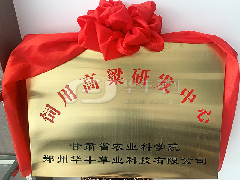 首页|bifa必发集团中国区官网